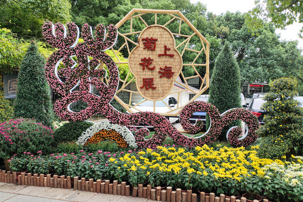 2020共青森林公园菊花展