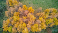 留坝游记图片] 秦岭最美的秋天在留坝，自驾红叶秘境，附最佳观赏点攻略