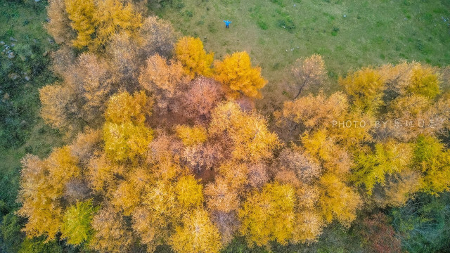秦岭最美的秋天在留坝，自驾红叶秘境，附最佳观赏点攻略