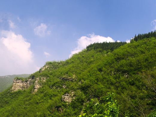 邯郸九峰山森林公园