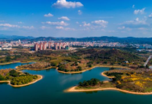 松湖花海景点图片