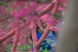 英山游记图文-武汉周边自驾两日游，爬山赏花养生都不误，赶紧安排起来