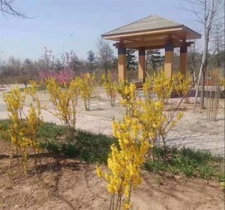 北戴河北京人家民宿，复式别墅小楼顶楼可观海，吃海鲜直接码头挑