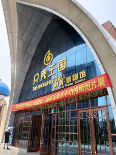 贝壳王国-秦皇岛-浙江年年游