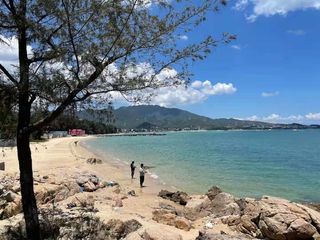 深圳海钓合集/父亲节去哪儿/周未一日游