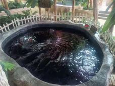 北方巴厘岛水上乐园-梨树-C-IMAGE