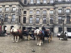 水坝广场-阿姆斯特丹-非你不渴