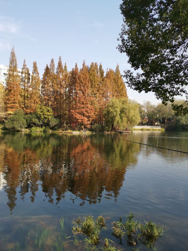 天山公园旅行图片 2