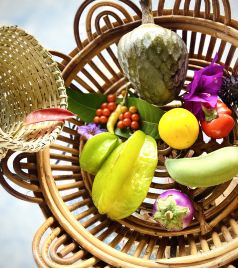 勐腊游记图文-自北向南穿越北回归线的云南人文之旅路线与攻略（昆明-西双版纳）