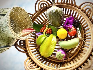 自北向南穿越北回归线的云南人文之旅路线与攻略（昆明-西双版纳）