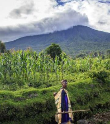乌干达游记图文-京城首家带拳馆的酒店于今日亮相