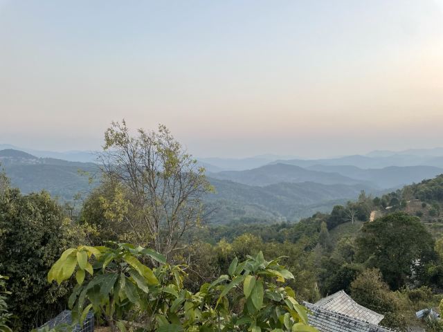 景迈千年万亩古茶园旅行图片 2