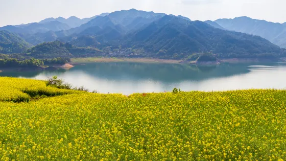 沃洲湖風景區