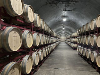 2021年国庆漫游烟台+威海