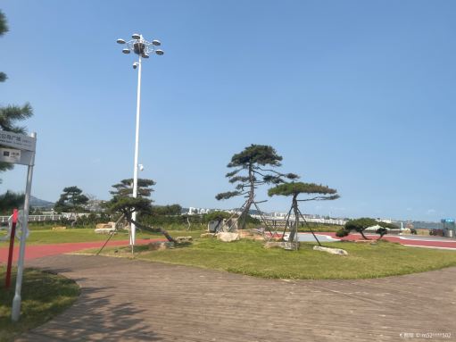阳光海岸梦幻海滩景点图片