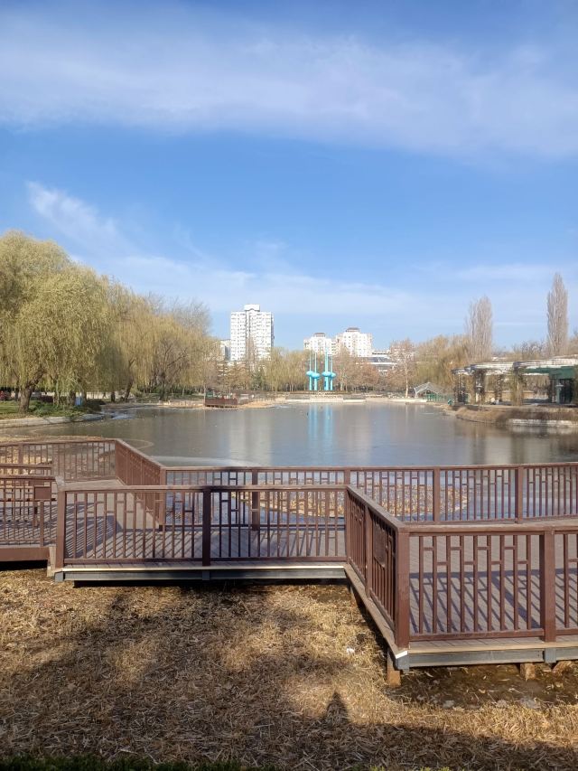 人定湖公园旅行图片 7