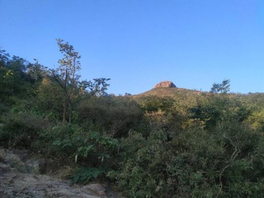 印台山