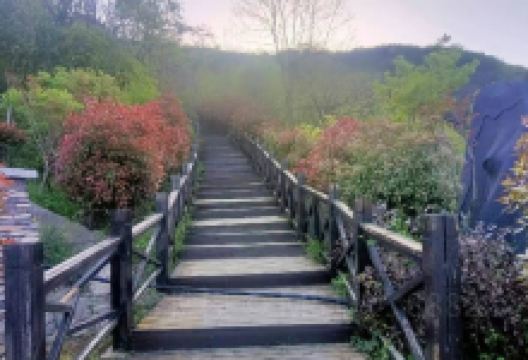 双峰尖景点图片