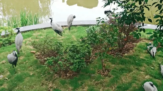 兩栖爬行動物館
