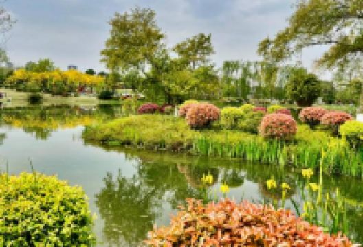 北湖生态园景点图片