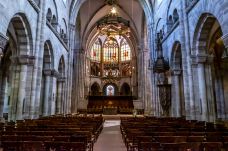 巴塞尔主教座堂-巴塞尔