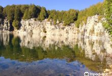 Elora Quarry Conservation Area景点图片