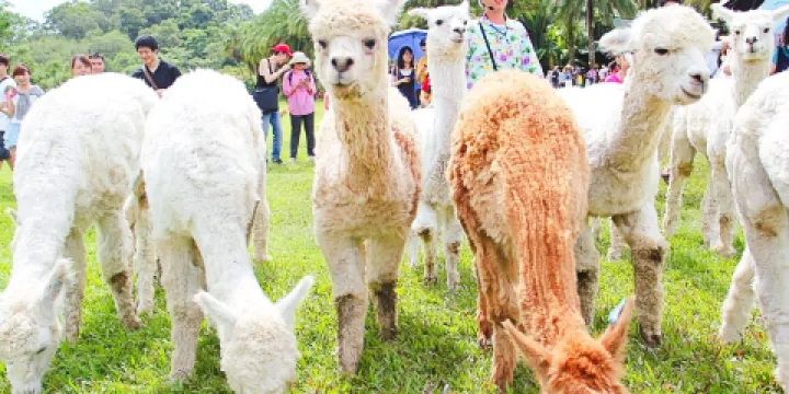 綠世界生態農場