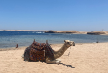 Sharm El Naga Beach景点图片