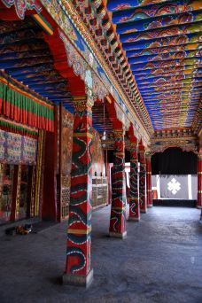 乃琼寺-拉萨-阿诚的白日梦