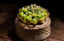 Restaurant Sommerfeld餐厅图片
