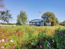 太阳岛风景区-哈尔滨-萧宣