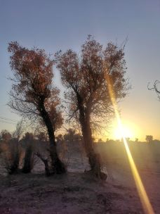 塔里木沙漠公路-且末-JJ77