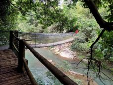 岭南小九寨-台山-池塘春草