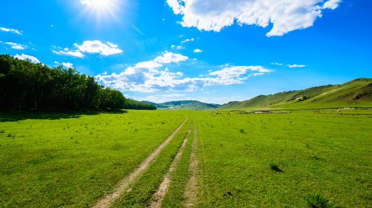 3-day 2-night · Private Tour · China + Inner Mongolia + Beijing + Saihanba National Forest Park + Wulanbutong Steppe Tourist Area