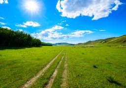 travel picture