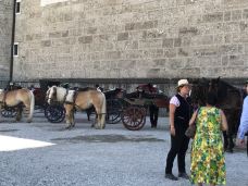 王宫广场-萨尔茨堡