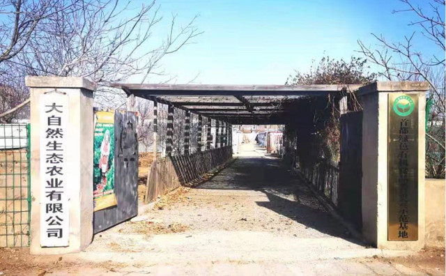 北京海淀大自然农场,不止草莓采摘,各种瓜果蔬菜新鲜蘑菇是主角