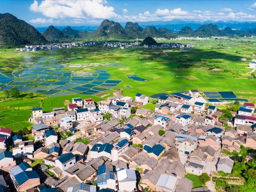 会仙湿地