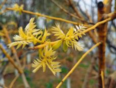 杨浦公园-上海-Mike达