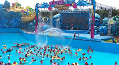 锦州游记图片] 这个地方真不错，有海有梦还有欢乐