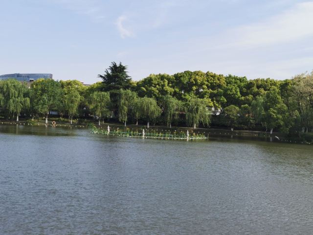 上海亭林遗址公园旅行图片 8