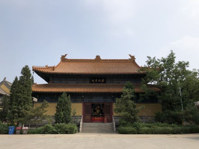 大悲禅院旅行图片 2
