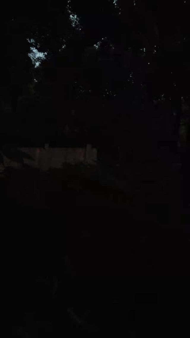 漕溪公园旅行图片 2