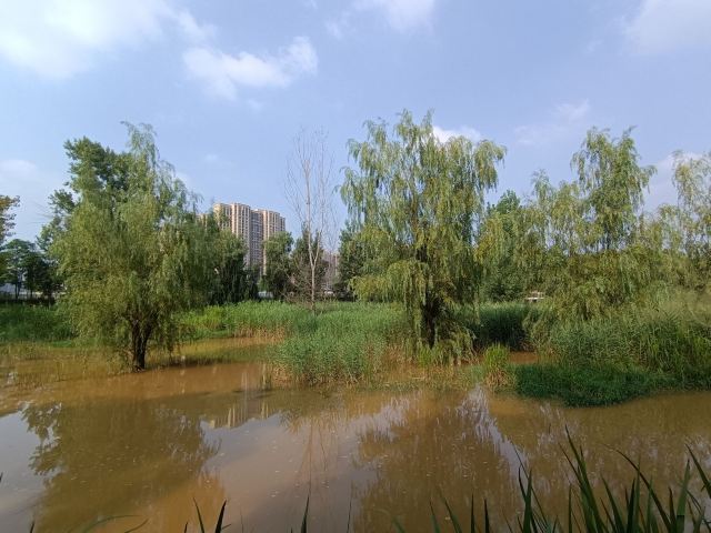长安城市公园(樊川公园)旅行图片 1
