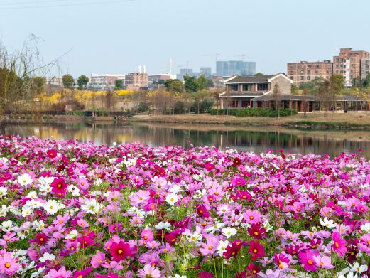南宁市江南公园