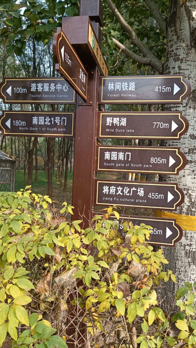 将府公园旅行图片 2
