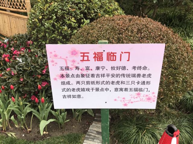 莘庄公园旅行图片 6