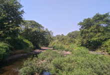 Crocodile Park景点图片