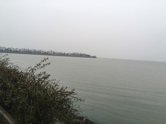 贡湖湾,雨中游湿地公园