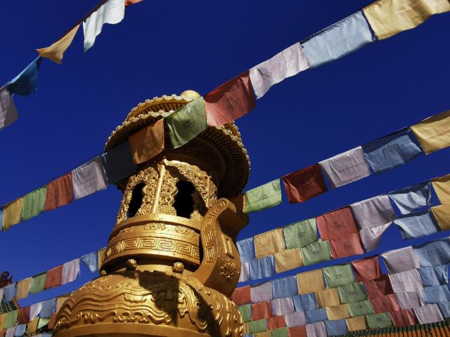 皇寺广场旅行图片 11